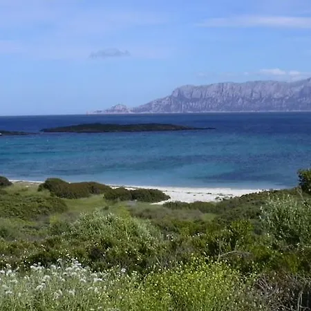 Apartman Spiaggia Lo Squalo Olbia